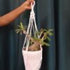 Porte fleur suspendu