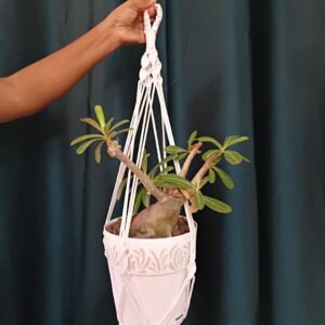 Porte fleur suspendu